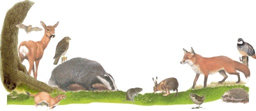 Winster provides support to Yorkshire Wildlife Charity